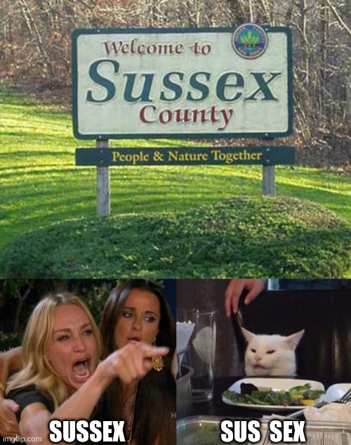 SUS  SEX; SUSSEX | image tagged in memes,woman yelling at cat,sus,sex,dumb,sussy | made w/ Imgflip meme maker