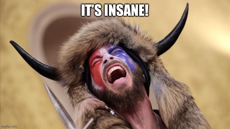 qanon shaman | IT’S INSANE! | image tagged in qanon shaman | made w/ Imgflip meme maker