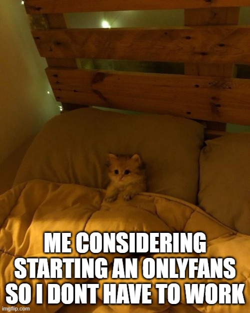 onlycats | ME CONSIDERING STARTING AN ONLYFANS SO I DONT HAVE TO WORK | image tagged in i hate my job | made w/ Imgflip meme maker