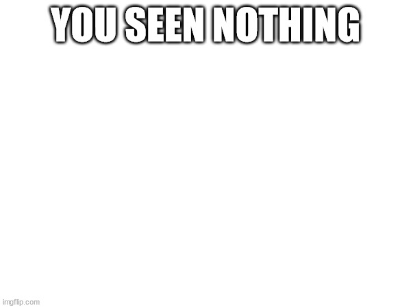 Nothing | YOU SEEN NOTHING | image tagged in nothing | made w/ Imgflip meme maker