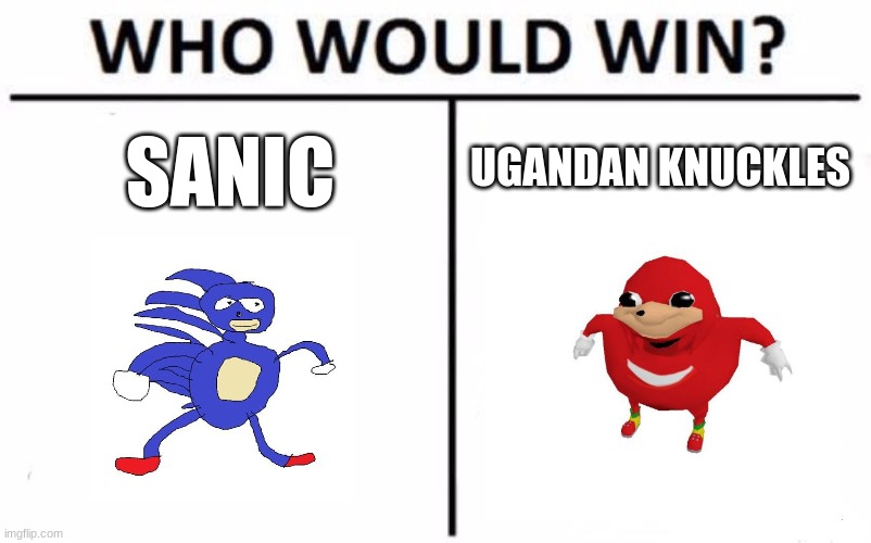 Who Would Win? | UGANDAN KNUCKLES; SANIC | image tagged in memes,who would win | made w/ Imgflip meme maker