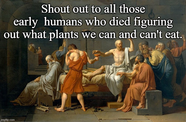 Shout out. | Shout out to all those early  humans who died figuring out what plants we can and can't eat. | image tagged in socrates' poison cup,poison plants | made w/ Imgflip meme maker