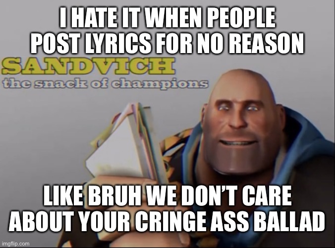 sandvich the snack of champions | I HATE IT WHEN PEOPLE POST LYRICS FOR NO REASON; LIKE BRUH WE DON’T CARE ABOUT YOUR CRINGE ASS BALLAD | image tagged in sandvich the snack of champions | made w/ Imgflip meme maker