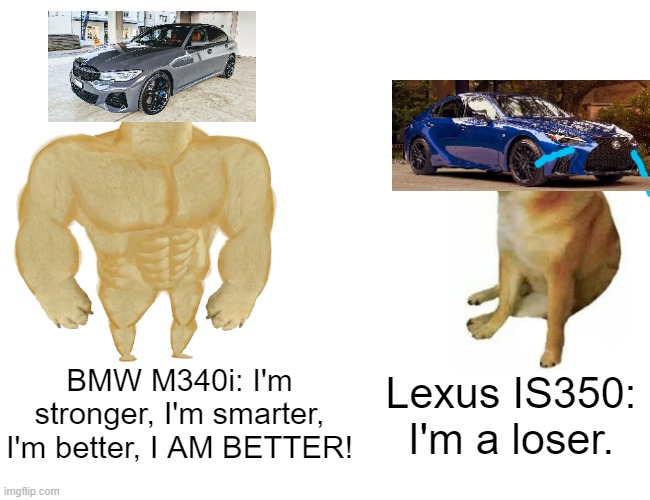 BMW M340i VS LEXUS IS350 which is better? | BMW M340i: I'm stronger, I'm smarter, I'm better, I AM BETTER! Lexus IS350: I'm a loser. | image tagged in memes,buff doge vs cheems,lexus,bmw,cars | made w/ Imgflip meme maker