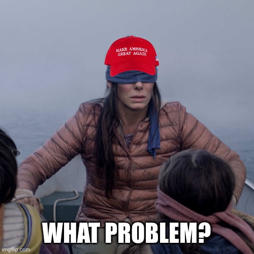 Bird Box Meme | WHAT PROBLEM? | image tagged in memes,bird box | made w/ Imgflip meme maker