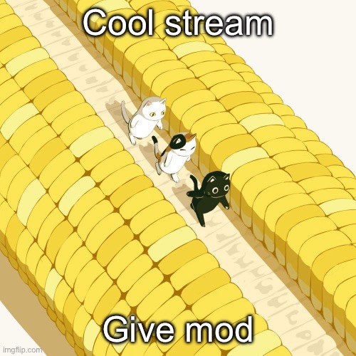 Avogado6 | Cool stream; Give mod | image tagged in avogado6 | made w/ Imgflip meme maker