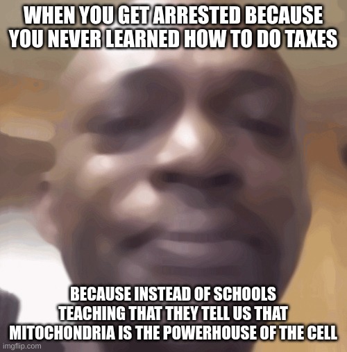 Crying black dude | WHEN YOU GET ARRESTED BECAUSE YOU NEVER LEARNED HOW TO DO TAXES BECAUSE INSTEAD OF SCHOOLS TEACHING THAT THEY TELL US THAT MITOCHONDRIA IS T | image tagged in crying black dude | made w/ Imgflip meme maker