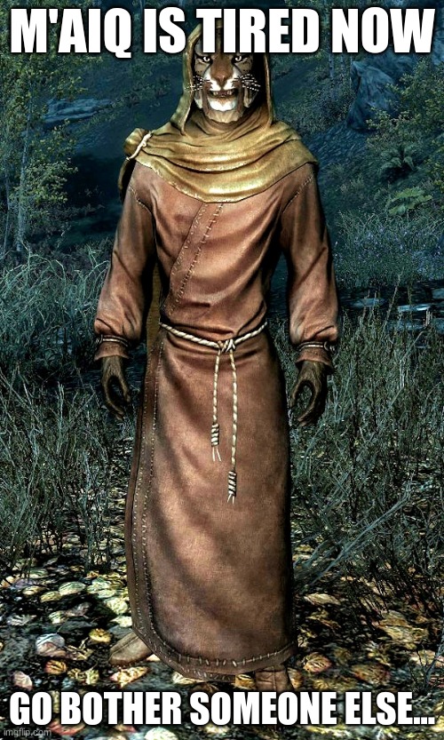 skyrim m'aiq the liar | M'AIQ IS TIRED NOW; GO BOTHER SOMEONE ELSE... | image tagged in skyrim m'aiq the liar | made w/ Imgflip meme maker