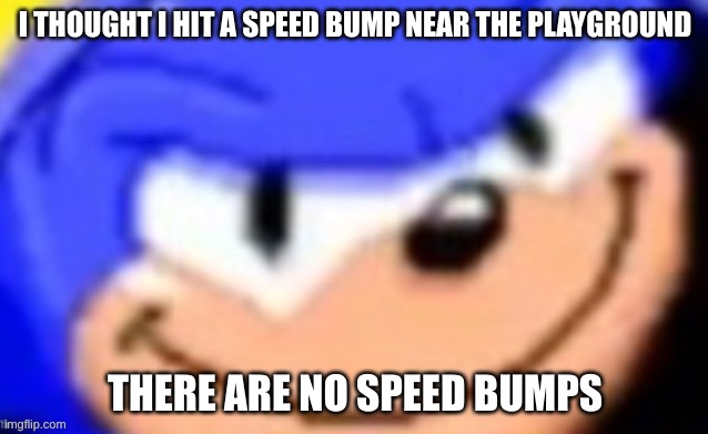 HMMMM >:) | I THOUGHT I HIT A SPEED BUMP NEAR THE PLAYGROUND; THERE ARE NO SPEED BUMPS | image tagged in sonic smile | made w/ Imgflip meme maker