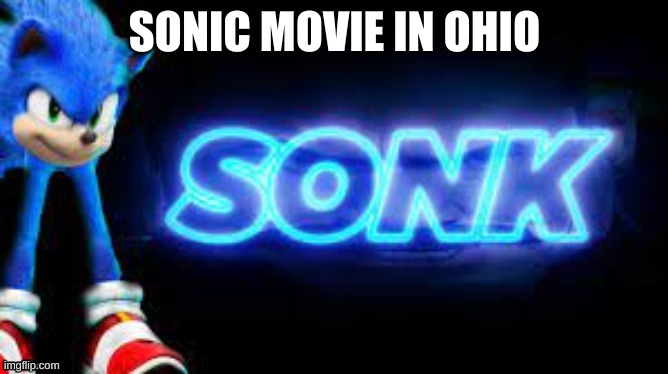 Welcome to Ohio | SONIC MOVIE IN OHIO | image tagged in sonk | made w/ Imgflip meme maker