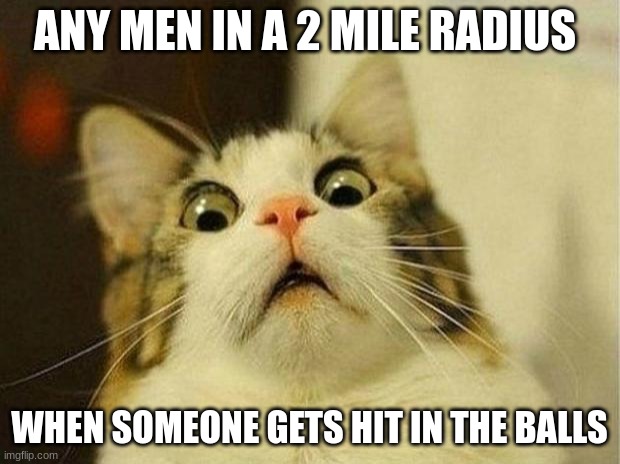 the pain | ANY MEN IN A 2 MILE RADIUS; WHEN SOMEONE GETS HIT IN THE BALLS | image tagged in memes,scared cat | made w/ Imgflip meme maker