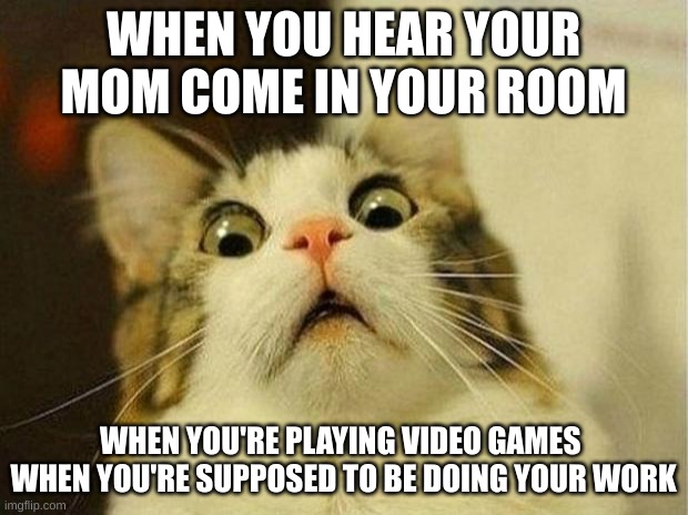 Scared Cat | WHEN YOU HEAR YOUR MOM COME IN YOUR ROOM; WHEN YOU'RE PLAYING VIDEO GAMES  WHEN YOU'RE SUPPOSED TO BE DOING YOUR WORK | image tagged in memes,scared cat | made w/ Imgflip meme maker