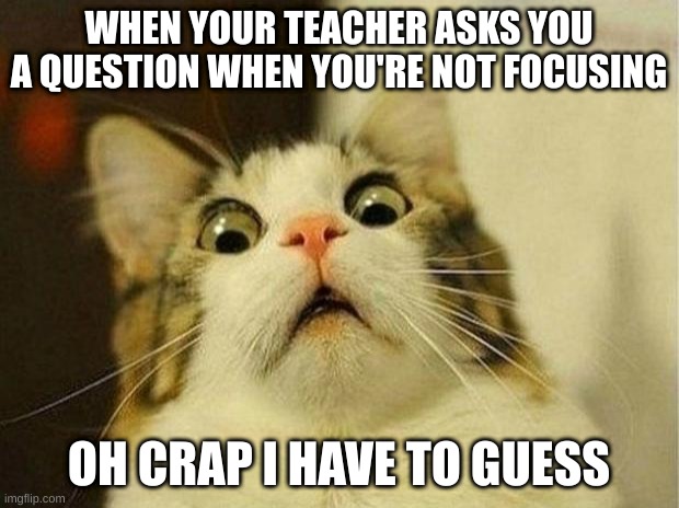 Scared Cat | WHEN YOUR TEACHER ASKS YOU A QUESTION WHEN YOU'RE NOT FOCUSING; OH CRAP I HAVE TO GUESS | image tagged in memes,scared cat | made w/ Imgflip meme maker