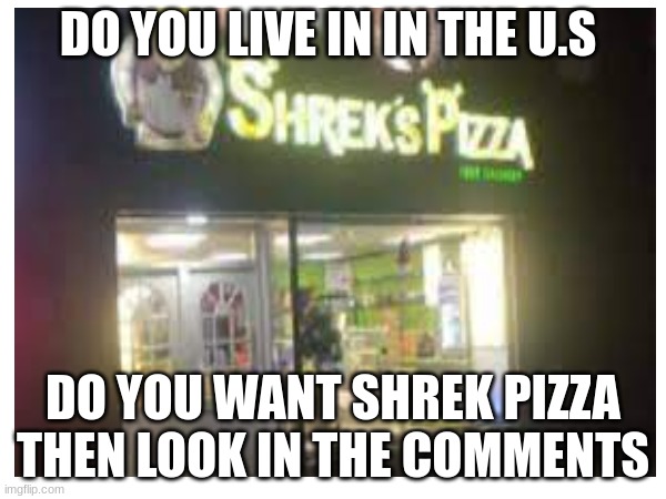 shreks pizza | DO YOU LIVE IN IN THE U.S; DO YOU WANT SHREK PIZZA THEN LOOK IN THE COMMENTS | image tagged in shrek,pizza | made w/ Imgflip meme maker