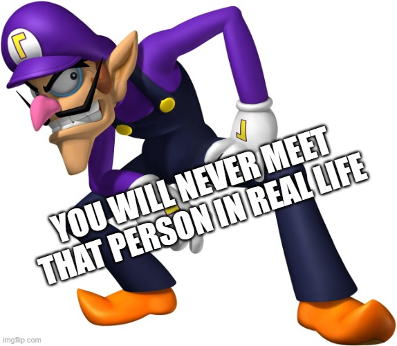 Waluigi | YOU WILL NEVER MEET THAT PERSON IN REAL LIFE | image tagged in waluigi | made w/ Imgflip meme maker