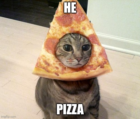 HE PIZZA | image tagged in pizza cat | made w/ Imgflip meme maker
