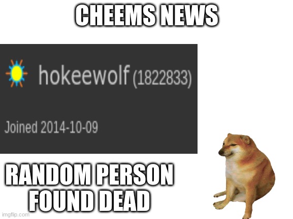 Blank White Template | CHEEMS NEWS; RANDOM PERSON FOUND DEAD | image tagged in blank white template | made w/ Imgflip meme maker