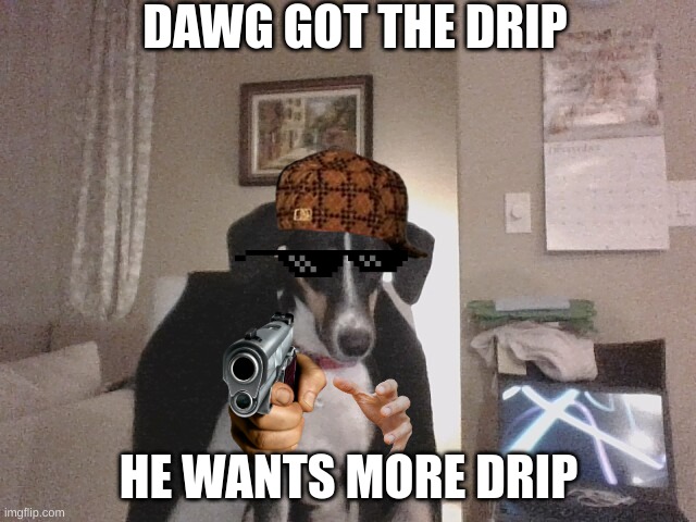 Dawg with the drip | DAWG GOT THE DRIP; HE WANTS MORE DRIP | image tagged in drip,dog,dogs,vibe check | made w/ Imgflip meme maker
