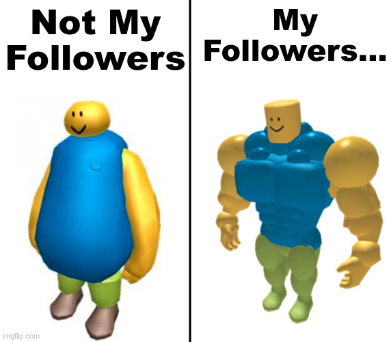 Fat vs Buff Roblox Noob | Not My Followers; My Followers... | image tagged in fat vs buff roblox noob | made w/ Imgflip meme maker