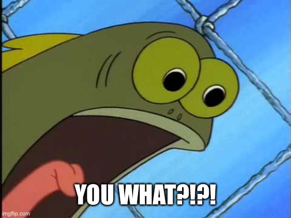 U WOT | YOU WHAT?!?! | image tagged in you what,spongebob,memes,funny,imgflip,comments | made w/ Imgflip meme maker