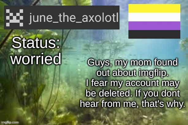 sad noises | Status: worried; Guys, my mom found out about imgflip. I fear my account may be deleted. If you dont hear from me, that's why. | image tagged in june's announcement template v1 | made w/ Imgflip meme maker