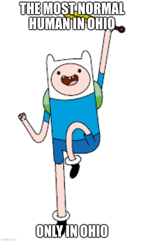Human in ohio | THE MOST NORMAL HUMAN IN OHIO; ONLY IN OHIO | image tagged in finn the human | made w/ Imgflip meme maker