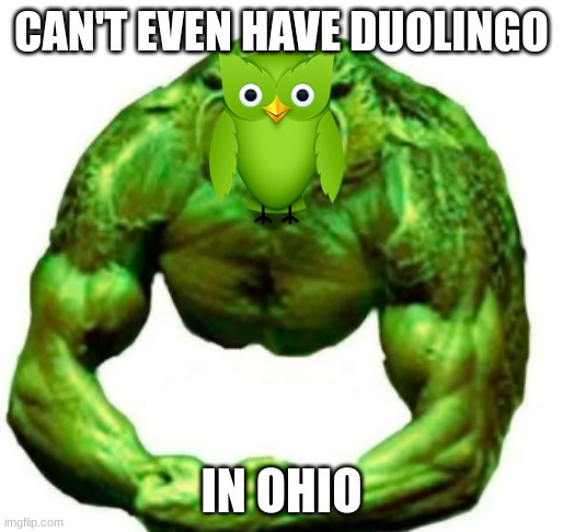 Buff duolingo | CAN'T EVEN HAVE DUOLINGO; IN OHIO | image tagged in buff duolingo | made w/ Imgflip meme maker