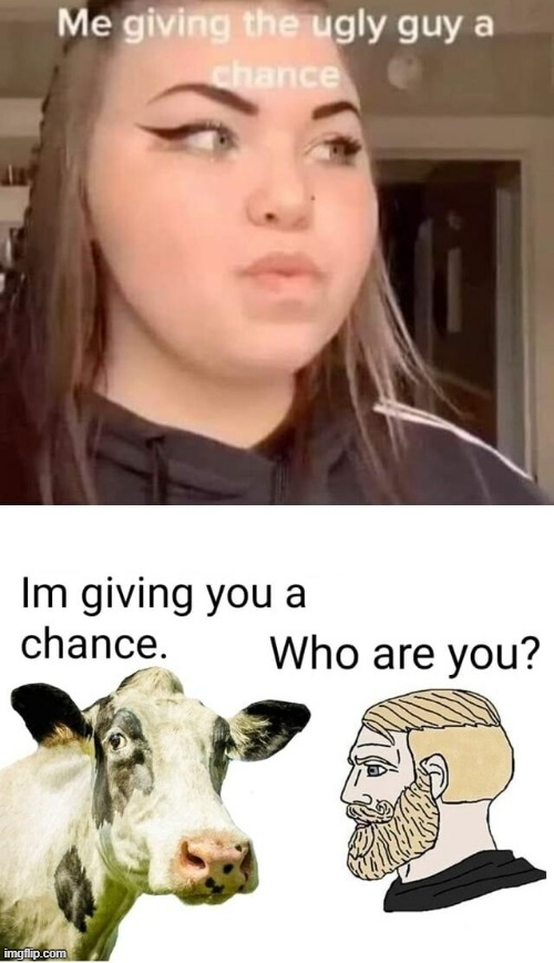 image tagged in memes | made w/ Imgflip meme maker