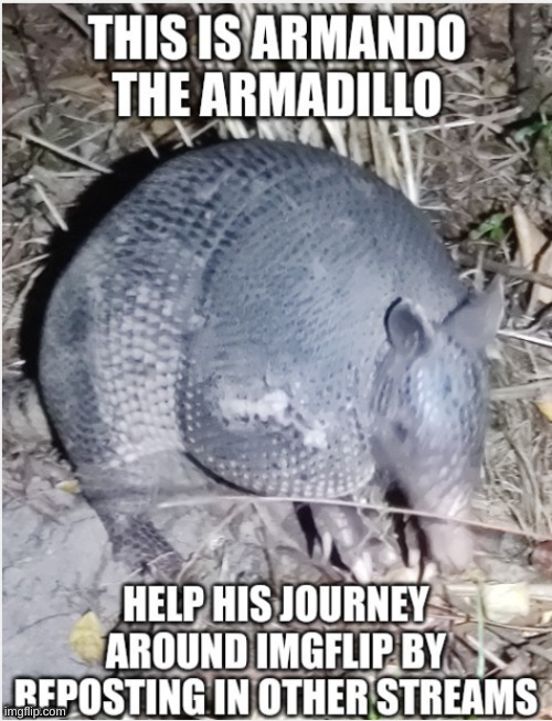 do it | image tagged in animals | made w/ Imgflip meme maker