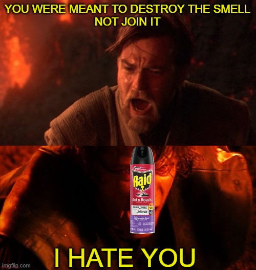 YOU WERE MEANT TO DESTROY THE SMELL
NOT JOIN IT I HATE YOU | image tagged in you were meant to destroy the sith,anakin and obi wan | made w/ Imgflip meme maker