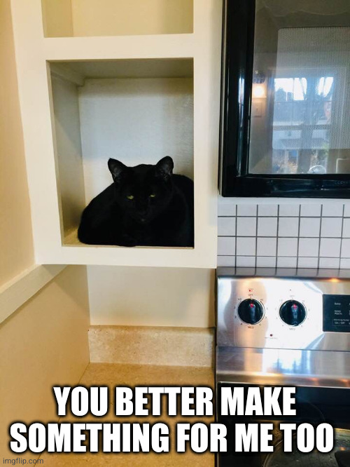 You can't cook without the cat wanting some to | YOU BETTER MAKE SOMETHING FOR ME TOO | image tagged in sensation of being watched while cooking - black cat,cat | made w/ Imgflip meme maker