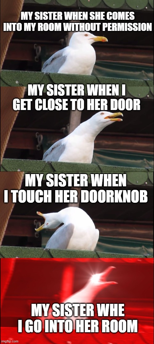 Inhaling Seagull Meme | MY SISTER WHEN SHE COMES INTO MY ROOM WITHOUT PERMISSION; MY SISTER WHEN I GET CLOSE TO HER DOOR; MY SISTER WHEN I TOUCH HER DOORKNOB; MY SISTER WHE I GO INTO HER ROOM | image tagged in memes,inhaling seagull | made w/ Imgflip meme maker