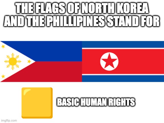 Only one of them have it | THE FLAGS OF NORTH KOREA AND THE PHILLIPINES STAND FOR; BASIC HUMAN RIGHTS | image tagged in flags | made w/ Imgflip meme maker