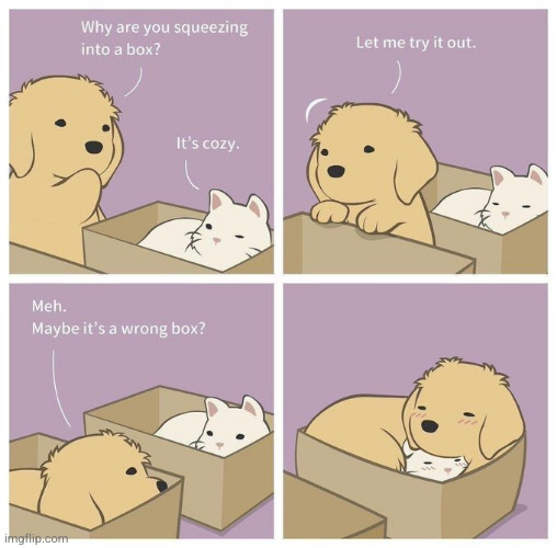 Cozy together | image tagged in cat,dog,comics | made w/ Imgflip meme maker