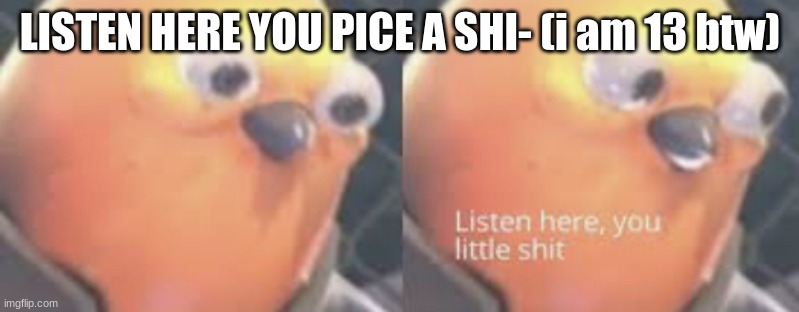Listen here you little shit bird | LISTEN HERE YOU PICE A SHI- (i am 13 btw) | image tagged in listen here you little shit bird | made w/ Imgflip meme maker