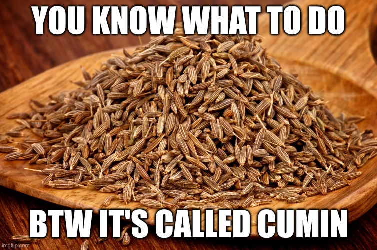 cumin | YOU KNOW WHAT TO DO; BTW IT'S CALLED CUMIN | image tagged in cumin | made w/ Imgflip meme maker