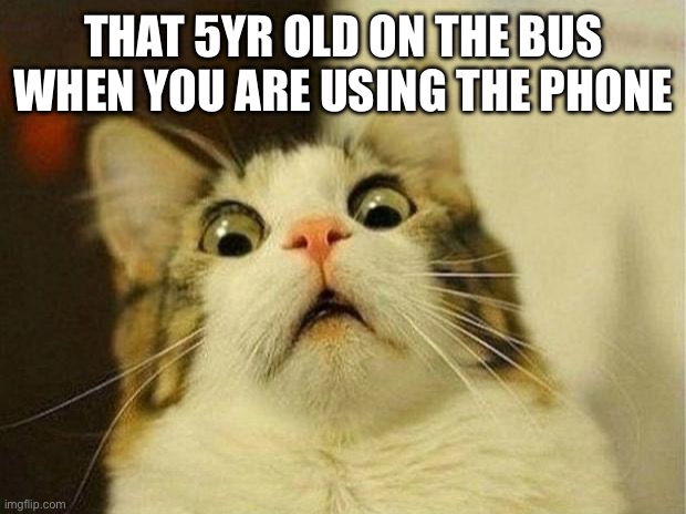 Scared Cat Meme | THAT 5YR OLD ON THE BUS WHEN YOU ARE USING THE PHONE | image tagged in memes,scared cat | made w/ Imgflip meme maker