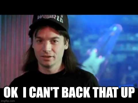 No back up | OK  I CAN'T BACK THAT UP | image tagged in wayne's world | made w/ Imgflip meme maker