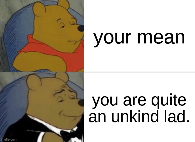 Tuxedo Winnie The Pooh Meme | your mean; you are quite an unkind lad. | image tagged in memes,tuxedo winnie the pooh | made w/ Imgflip meme maker