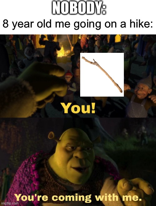 You! You're coming with me | NOBODY:; 8 year old me going on a hike: | image tagged in you you're coming with me,stick,hiking,shrek | made w/ Imgflip meme maker