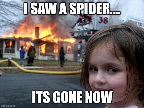 Disaster Girl Meme | I SAW A SPIDER.... ITS GONE NOW | image tagged in memes,disaster girl | made w/ Imgflip meme maker