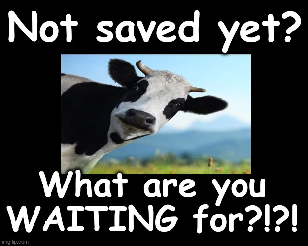 Not Saved Yet?  What are you WAITING for?!?! | Not saved yet? What are you WAITING for?!?! | image tagged in salvation,cow | made w/ Imgflip meme maker
