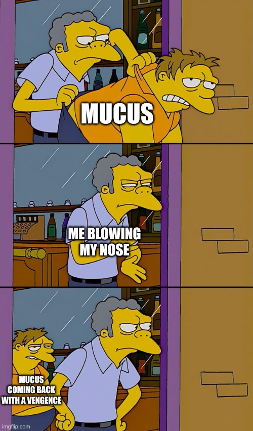 if you have allergies you understand. | MUCUS; ME BLOWING MY NOSE; MUCUS COMING BACK WITH A VENGENCE | image tagged in moe throws barney,winter memes | made w/ Imgflip meme maker