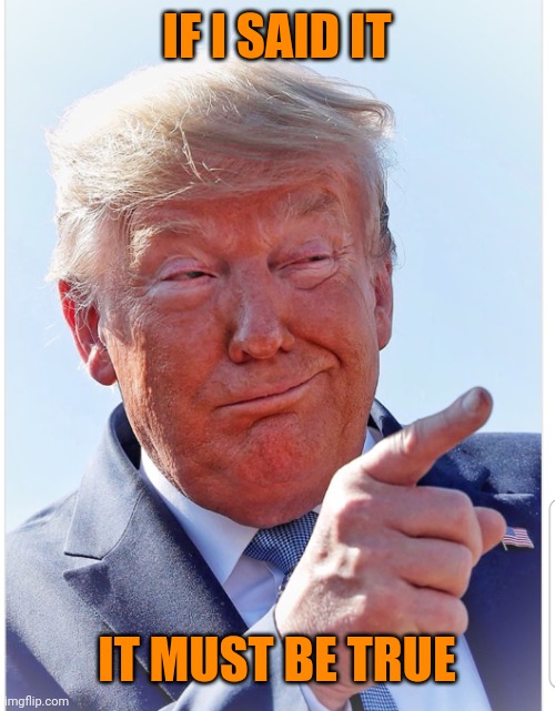 Trump pointing | IF I SAID IT IT MUST BE TRUE | image tagged in trump pointing | made w/ Imgflip meme maker