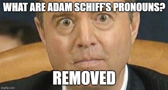 What are Adam Schiff’s pronouns? | WHAT ARE ADAM SCHIFF’S PRONOUNS? REMOVED | image tagged in adam schiff weird eyes | made w/ Imgflip meme maker