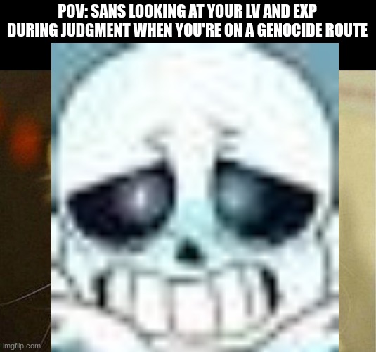 Sans Really Do Be Terrified (Even If He Doesn't Show It) |  POV: SANS LOOKING AT YOUR LV AND EXP DURING JUDGMENT WHEN YOU'RE ON A GENOCIDE ROUTE | image tagged in memes,scared cat,sans,undertale,judgement,genocide | made w/ Imgflip meme maker