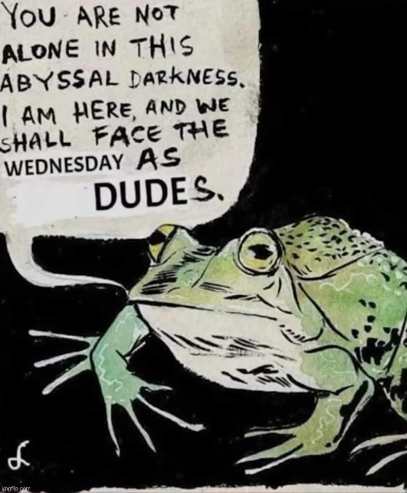 Today is Wednesday my dudes intense version | image tagged in today is wednesday my dudes intense version | made w/ Imgflip meme maker