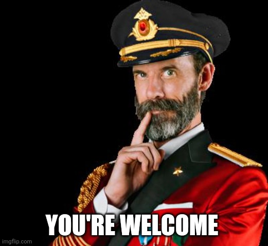 captain obvious | YOU'RE WELCOME | image tagged in captain obvious | made w/ Imgflip meme maker