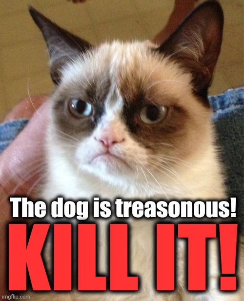 Grumpy Cat Meme | The dog is treasonous! KILL IT! | image tagged in memes,grumpy cat | made w/ Imgflip meme maker