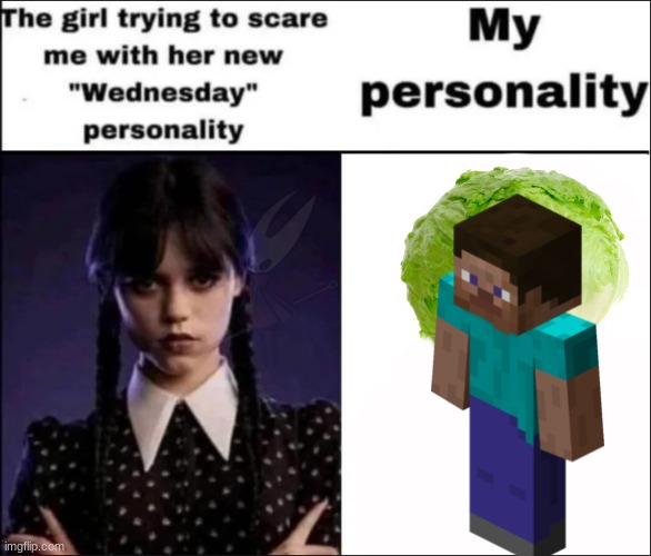 image not seeing a hornet | image tagged in the girl trying to scare me with her new wednesday personality | made w/ Imgflip meme maker